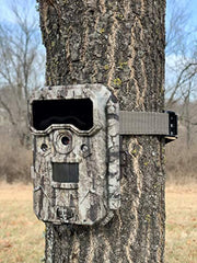ALPHA CAM trail camera night illumination shows 100 ft IR coverage with low-noise night shots.