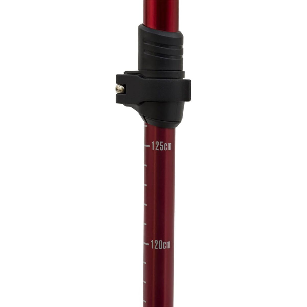 ALPS Mountaineering Conquest trekking pole with auto-adjustable strap for secure fit