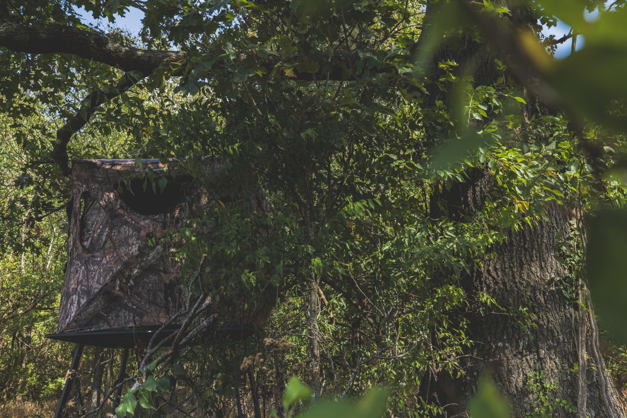 Ameristep Silent Brickhouse ShadowGuard coating reduces shadows for stealthy morning hunts