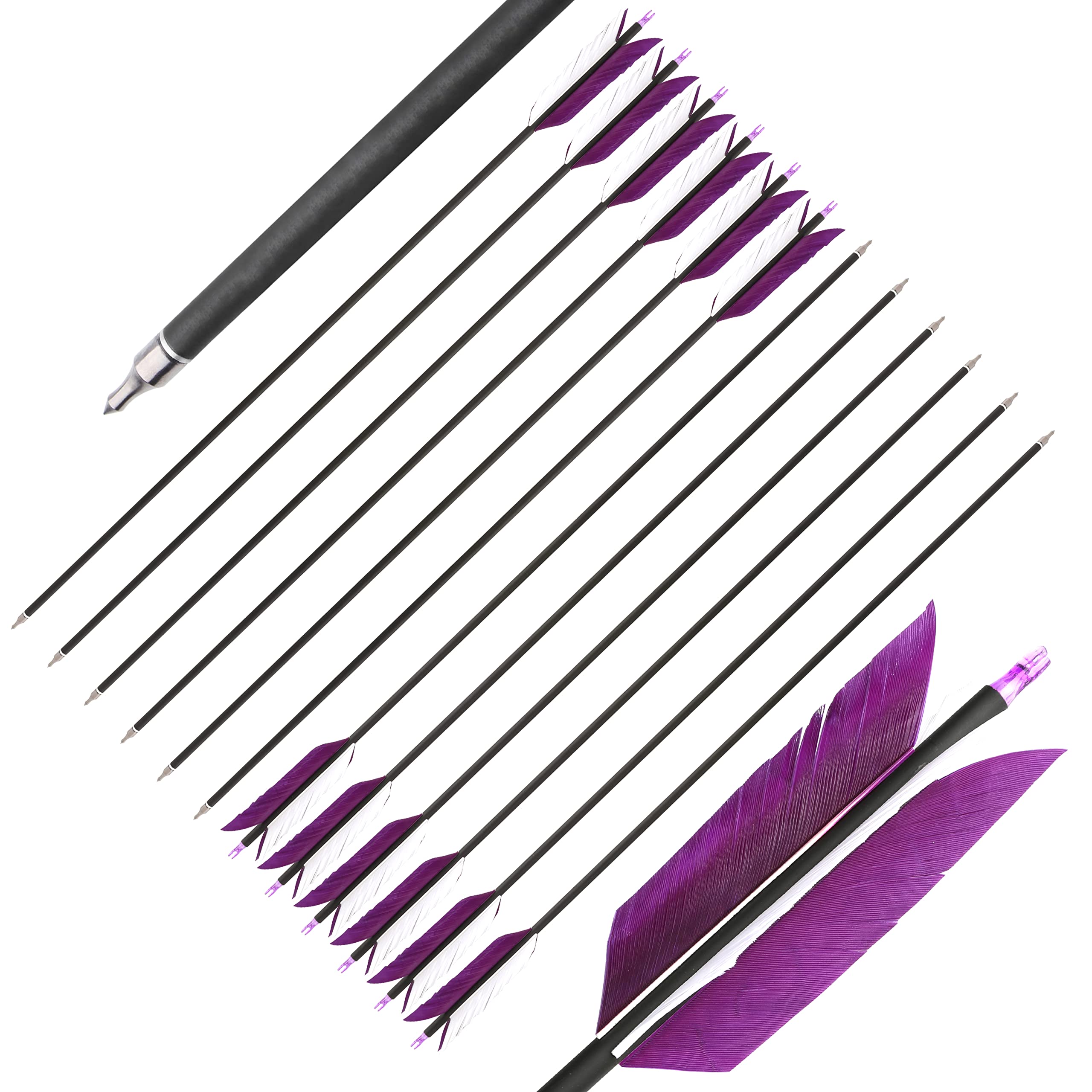 AMEYXGS 12-pack arrows pack-shot in purple and white for target practice.