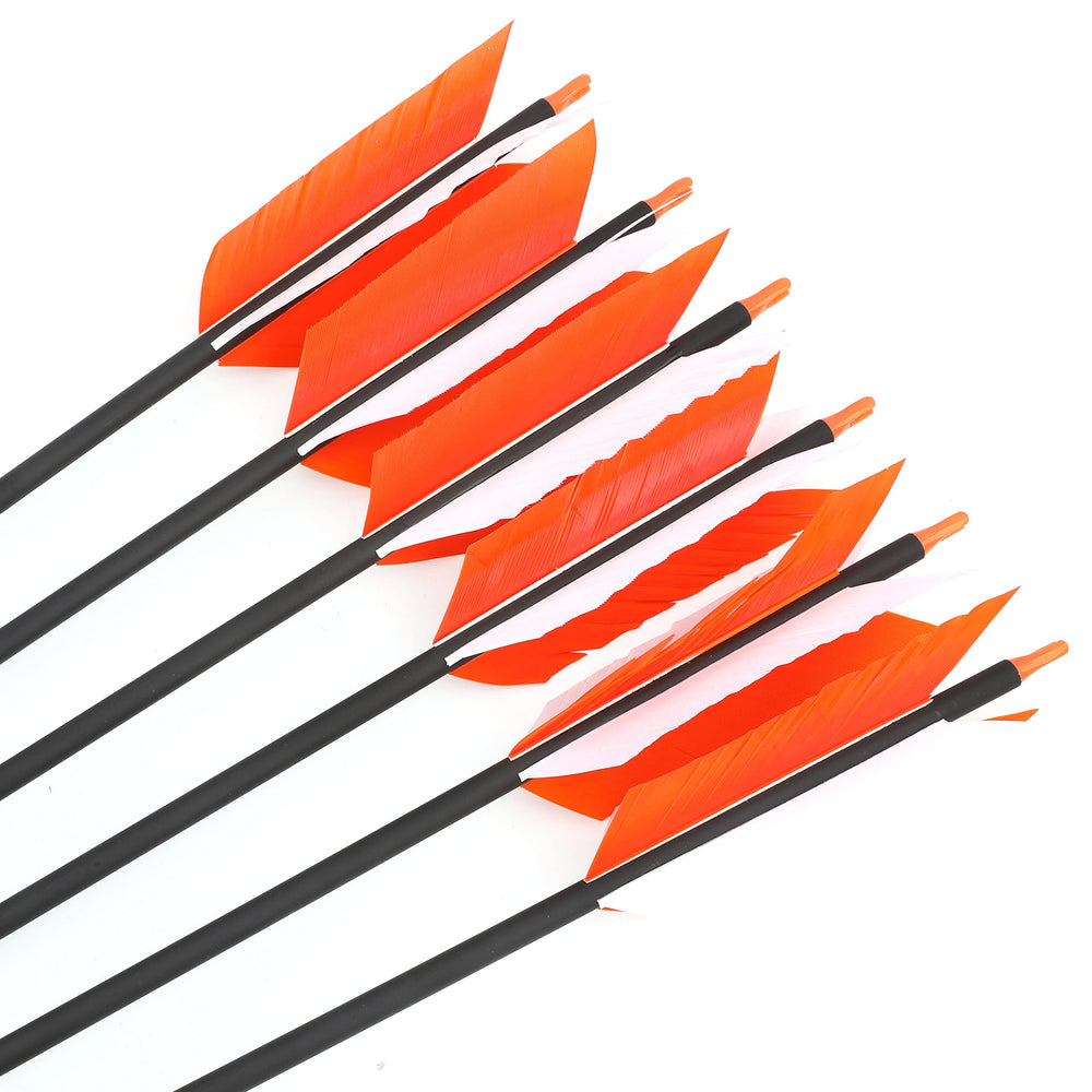 AMEYXGS arrows measuring 31.5 inches with 7.8 mm diameter for consistent flight