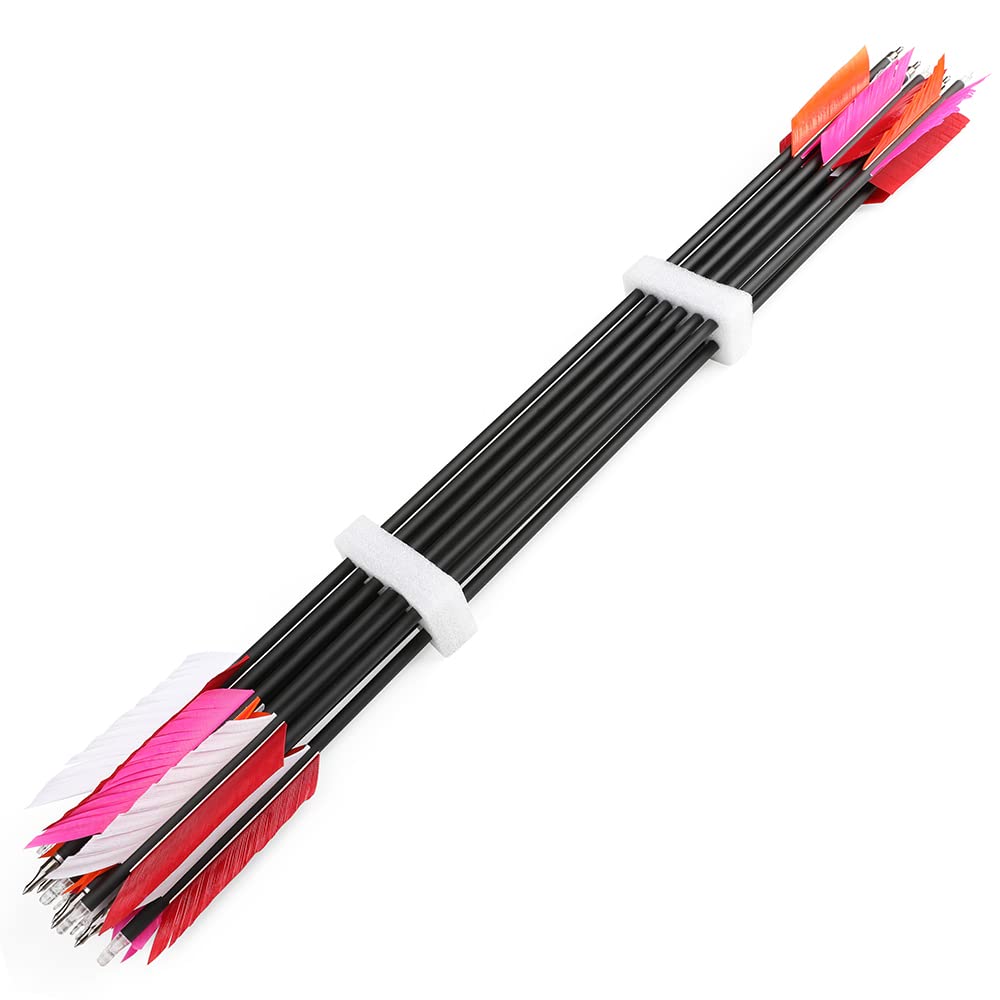 AMEYXGS 6/12-pack arrows for easy reloading and sharing.