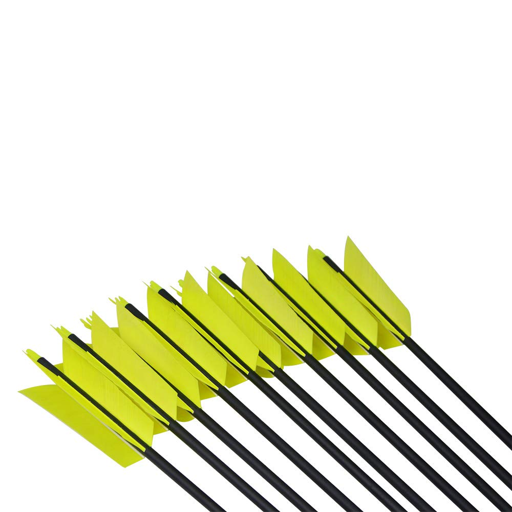 AMEYXGS packaging shows a twelve-arrow yellow bundle for easy pickup.