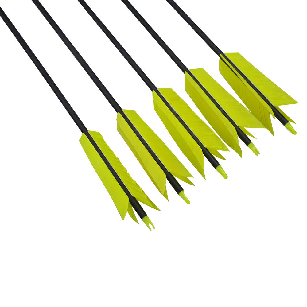 AMEYXGS replaceable arrowhead demonstrates versatility for field practice.