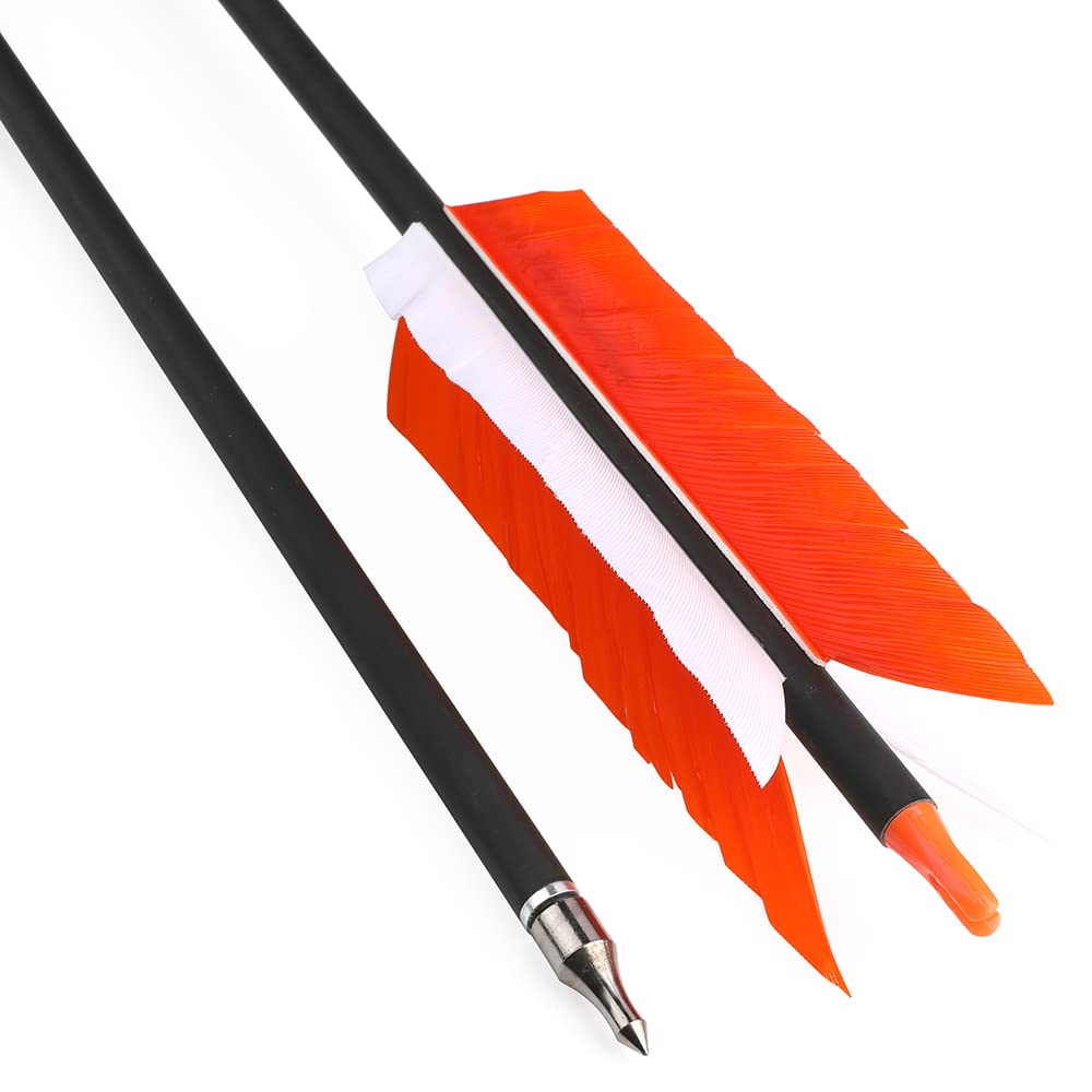 AMEYXGS arrows turkey feathers 4-fletching for balanced control and visibility.