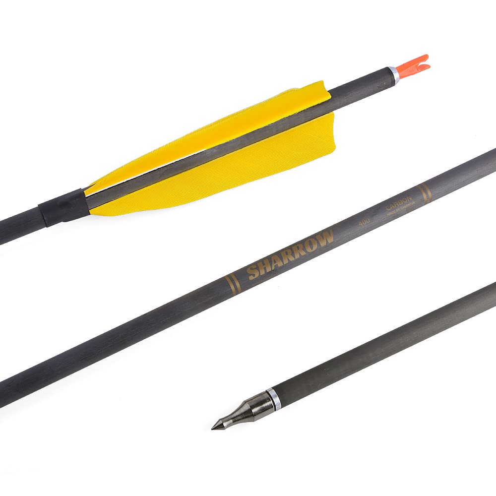 AMEYXGS hunting target practice arrow set showcases durable carbon construction under field conditions.