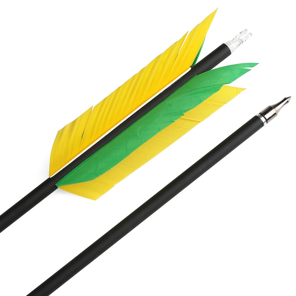 AMEYXGS arrows shown in outdoor target practice setup for field use