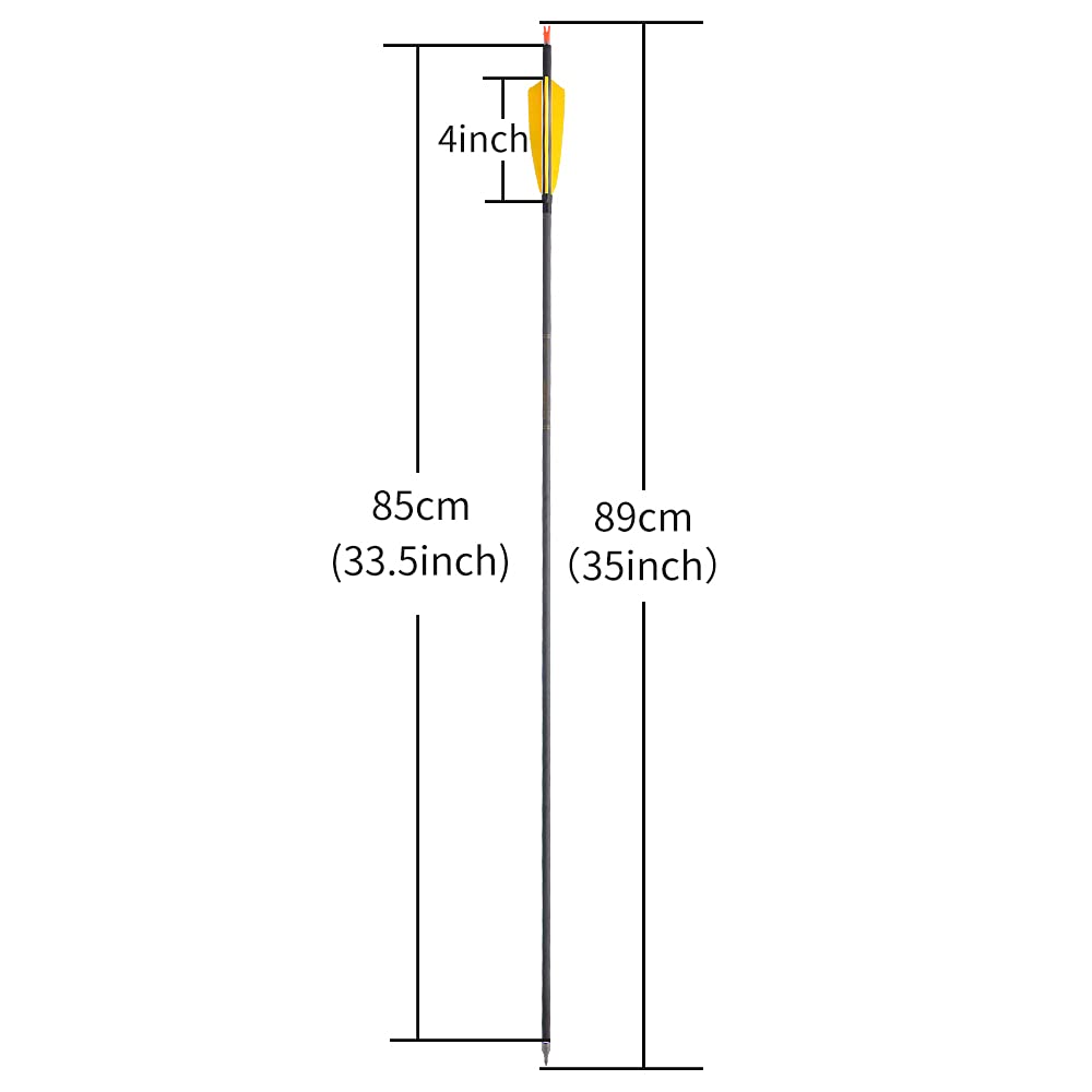 AMEYXGS removable 100grain field point demonstrates easy broadhead swap and accuracy.