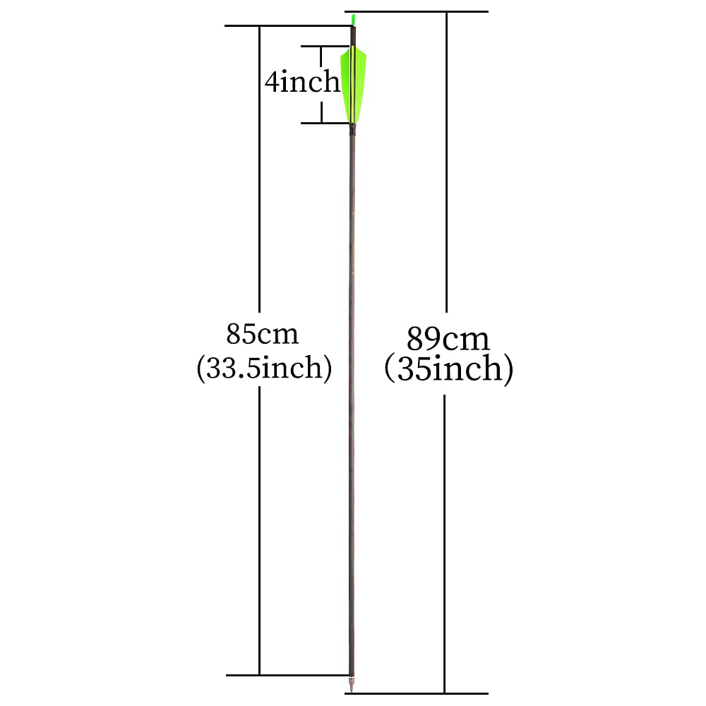 AMEYXGS removable-tips 100 grain field points for versatile hunting and practice.