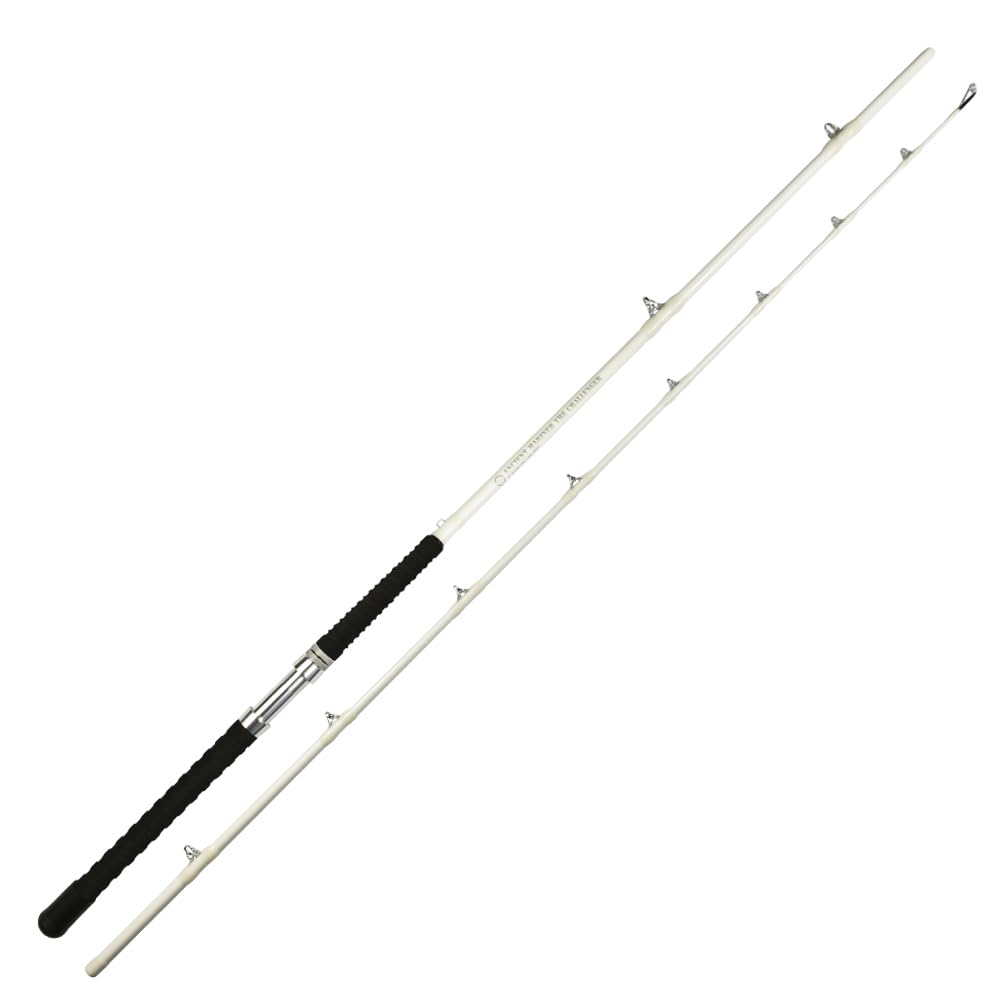 Ancient Mariner Challenger 10ft catfish rod glow image highlights night strike visibility.