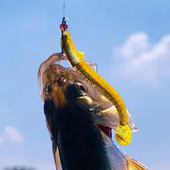 Angler Dragon Loach Lure lifelike swimming mimics prey to entice predatory fish
