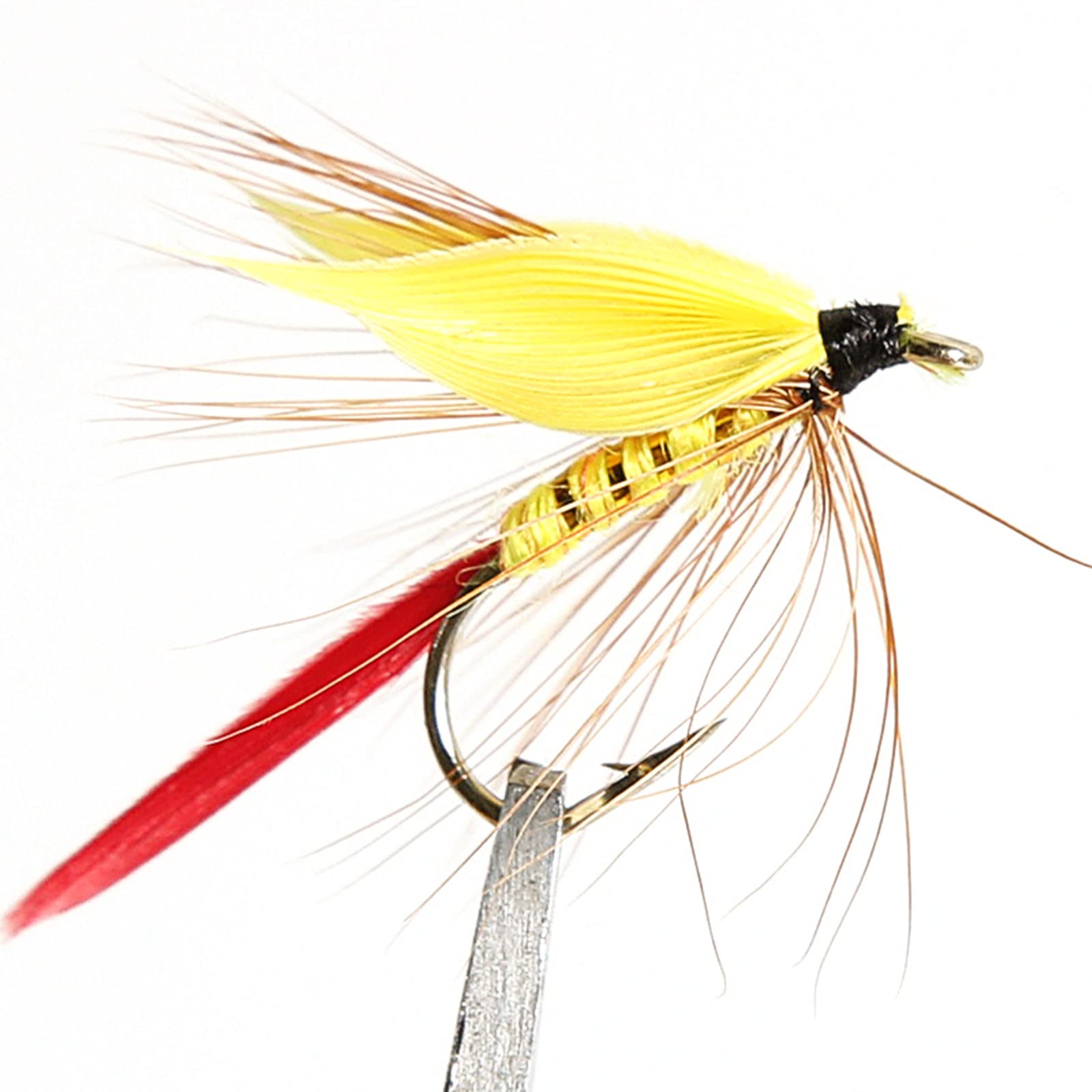Waterproof fly box open showing organized flies