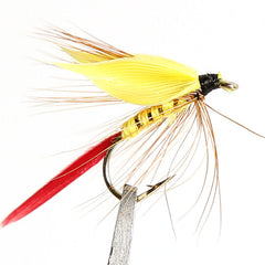 Waterproof fly box open showing organized flies