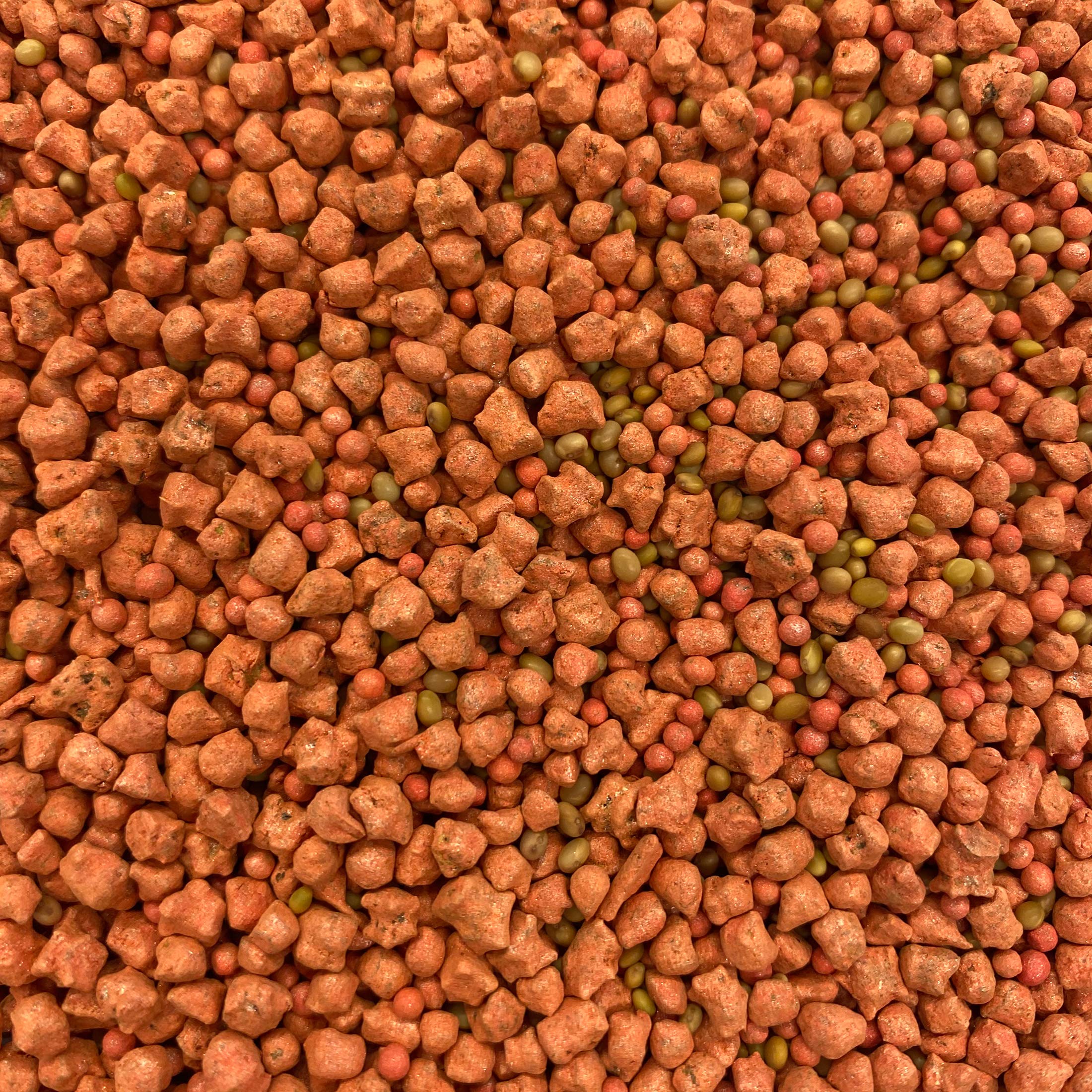 ani-logics-outdoors Crush Pro Sugar Beets soil prep and broadcast cover for even germination.