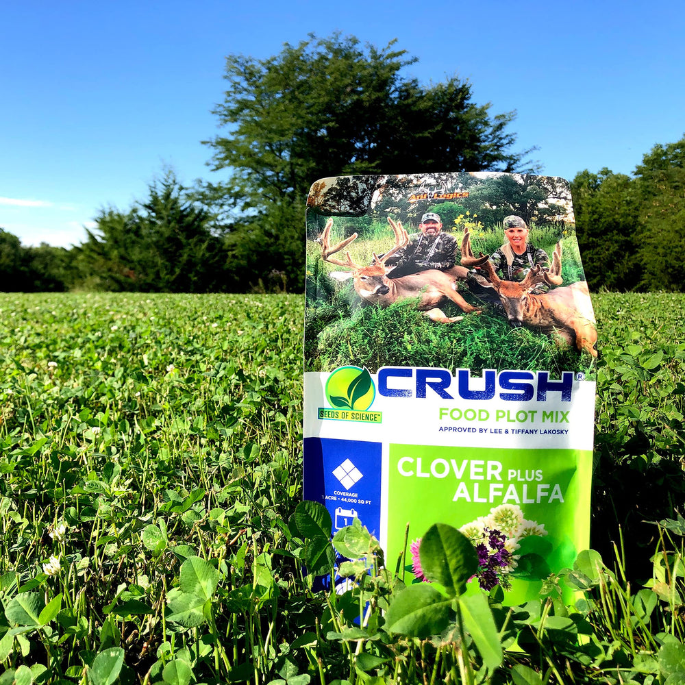 Seed blend thrives in diverse soils, with frost-seeding as an option for early green feeding