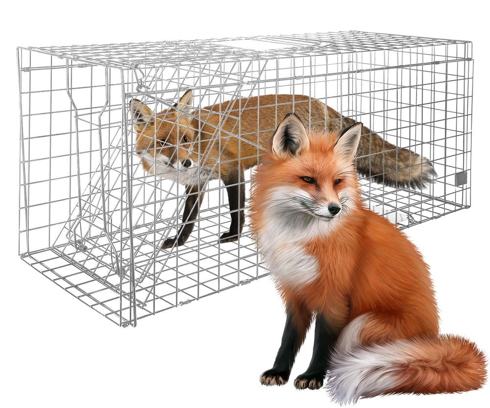 Ansgery large animal trap front view demonstrates a humane wildlife capture option.
