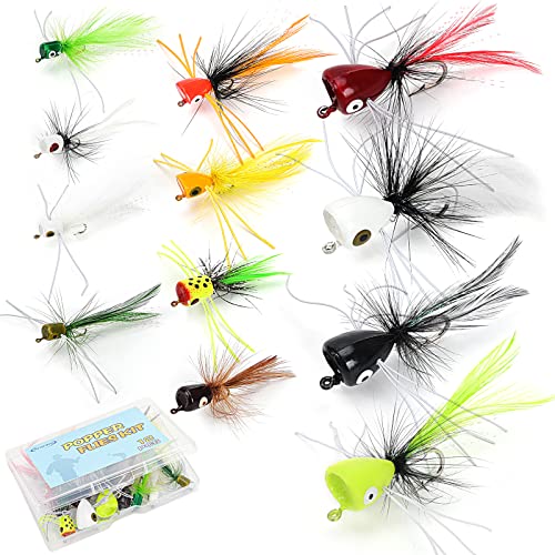 Ansnbo 12-piece popper flies set in a clear display
