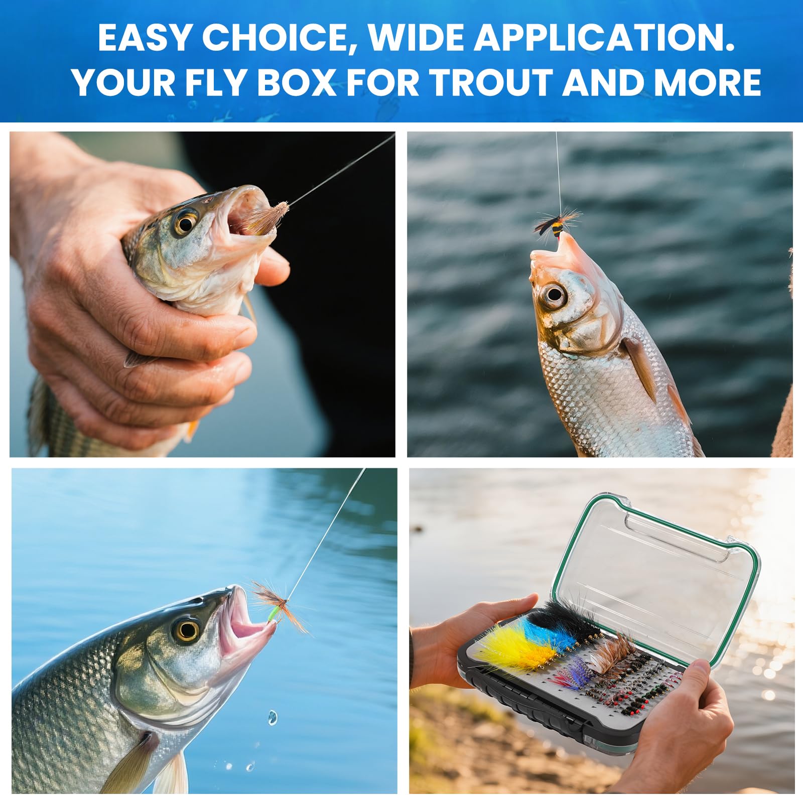 Ansnbo ready-to-fish gift pack suits beginners and seasoned anglers.