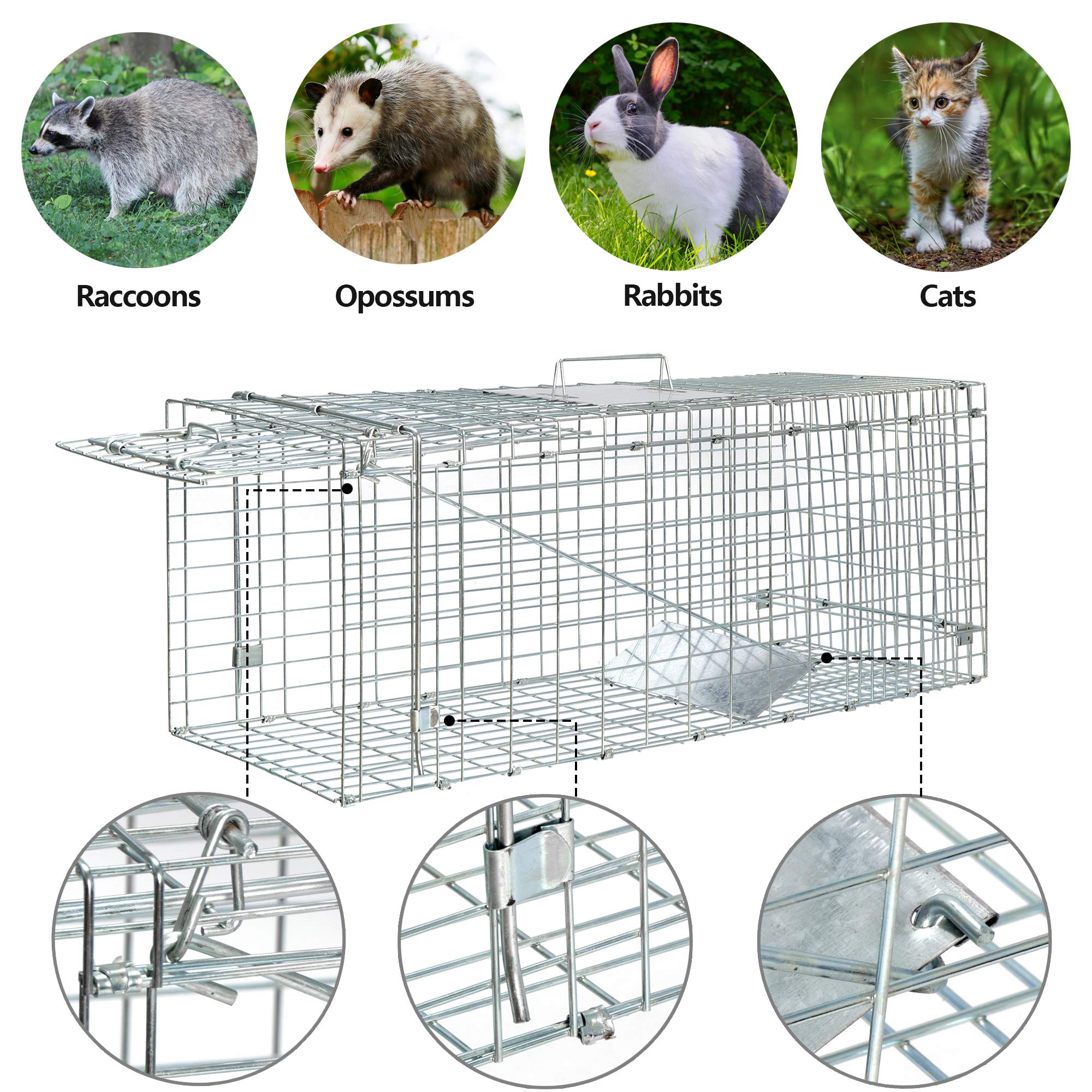 ANT MARCH bait-set-release design enables simple trapping with minimal handling.