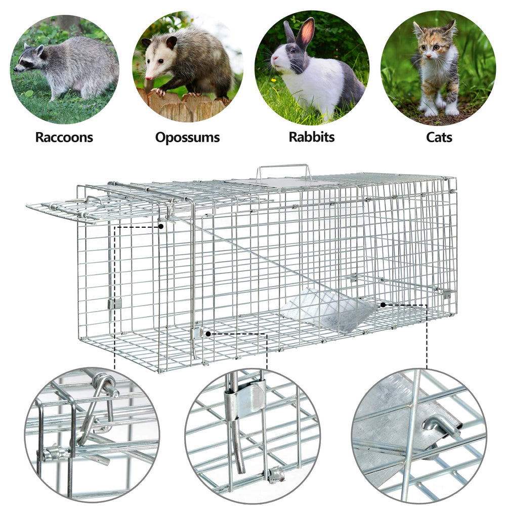 ANT MARCH bait-set-release design enables simple trapping with minimal handling.