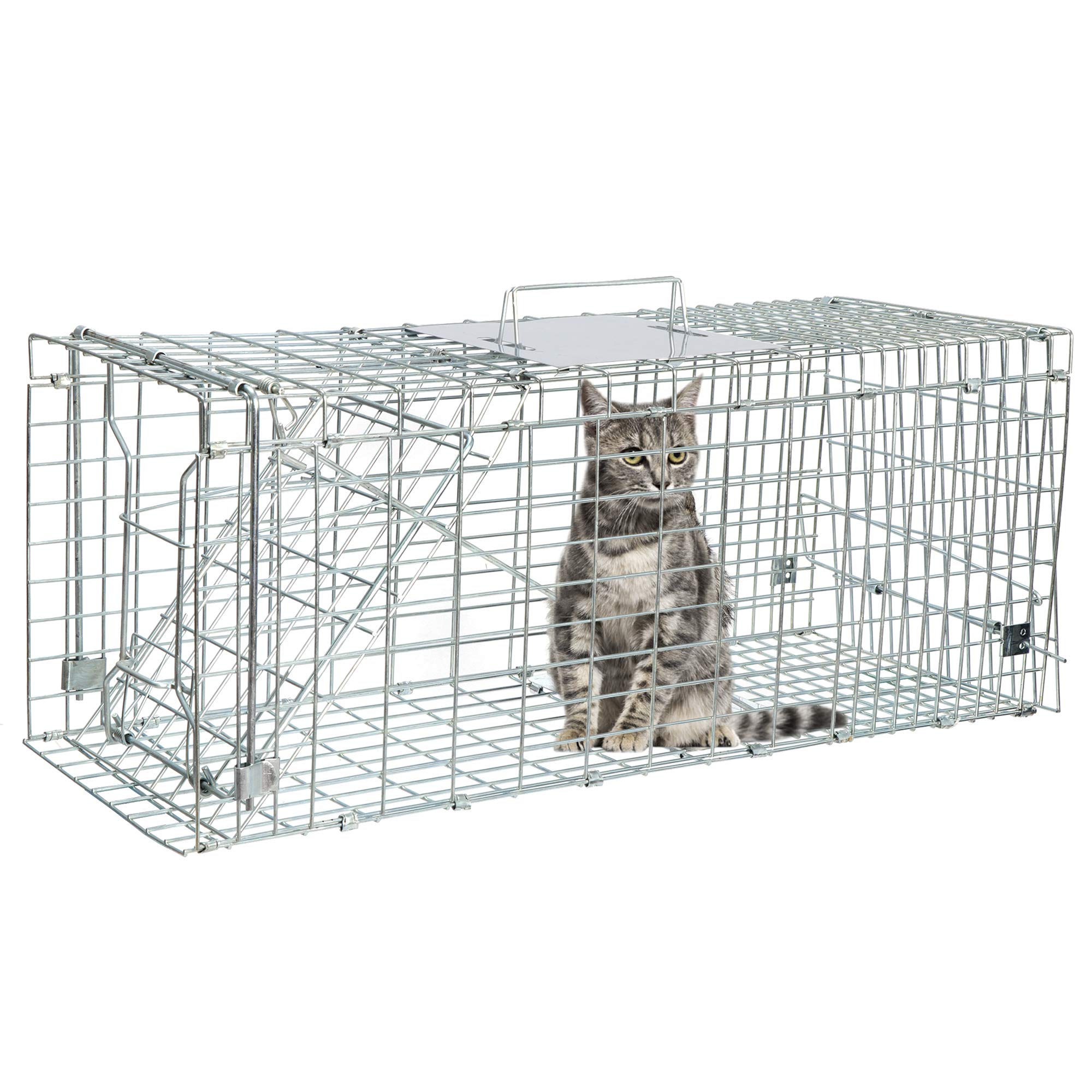 ANT MARCH collapsible wildlife trap folds flat for portable transport.