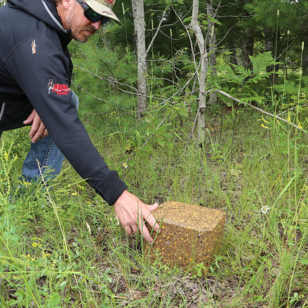 Antler King apple-grainiac block near water attracts visitors.