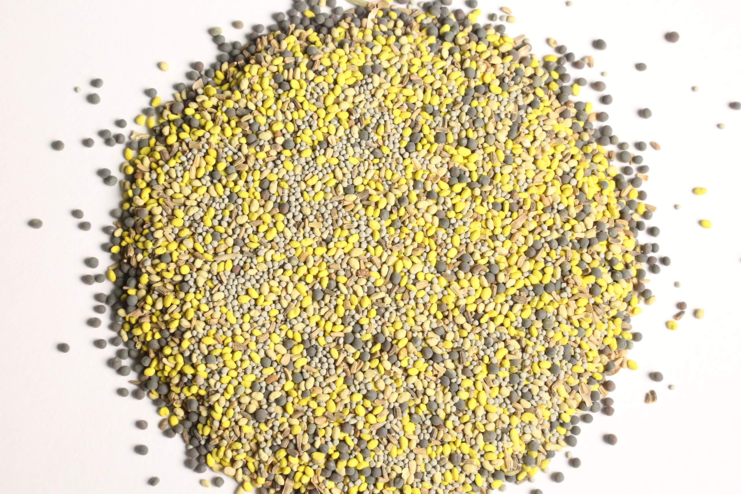 Antler King Booner Buffet field seeding for a quarter-acre plot