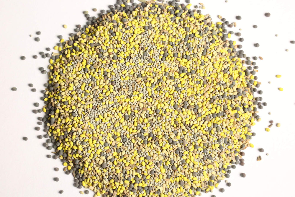 Antler King Booner Buffet field seeding for a quarter-acre plot