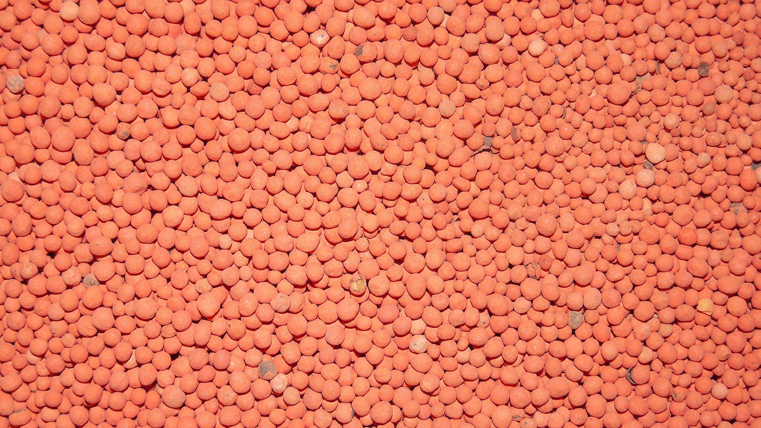 Antler King Honey Hole mix demonstrates quick green-up after frost.