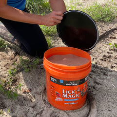 Mineral powder closeup highlights essential minerals for growth.