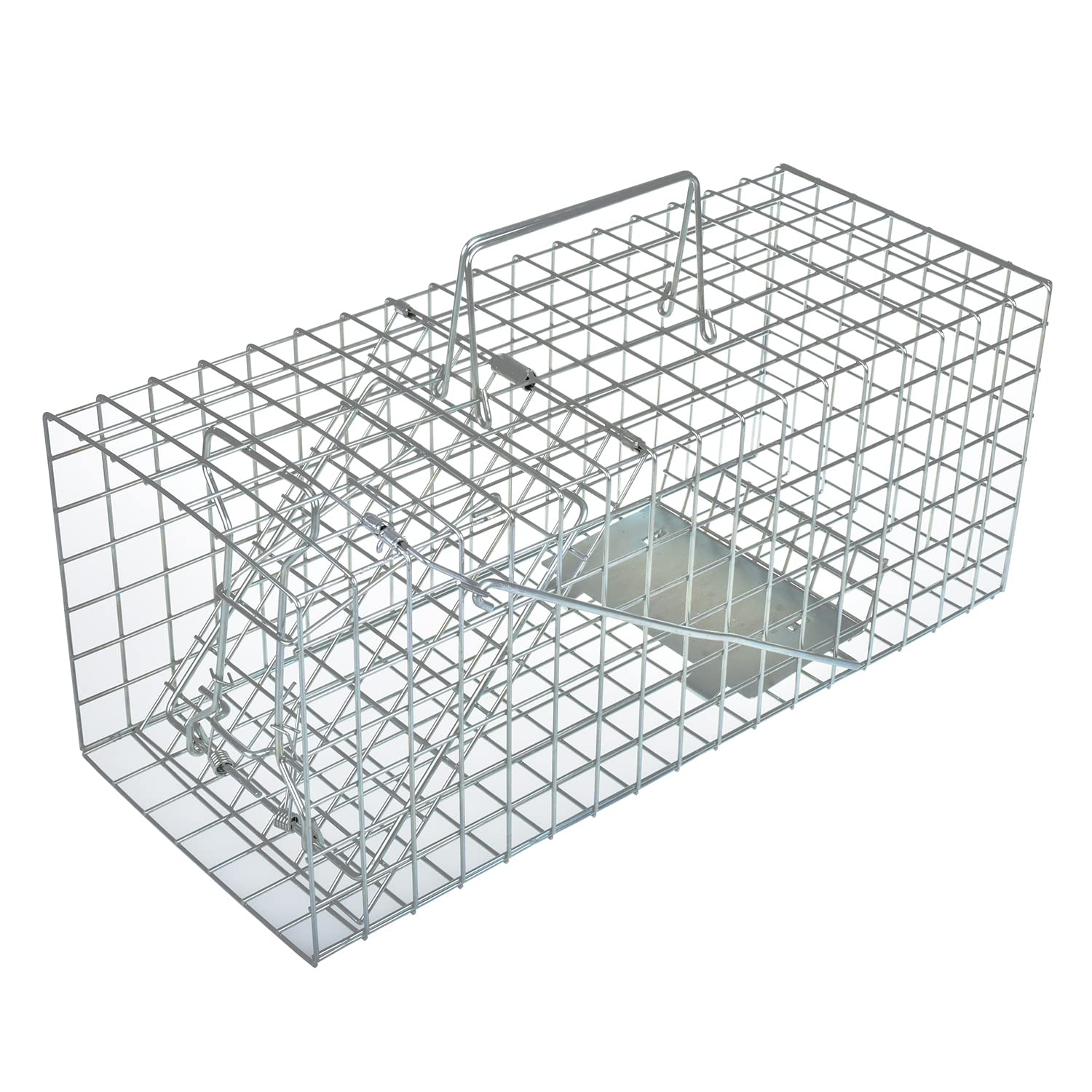 Anyhall Squirrel Trap fully assembled for immediate humane capture