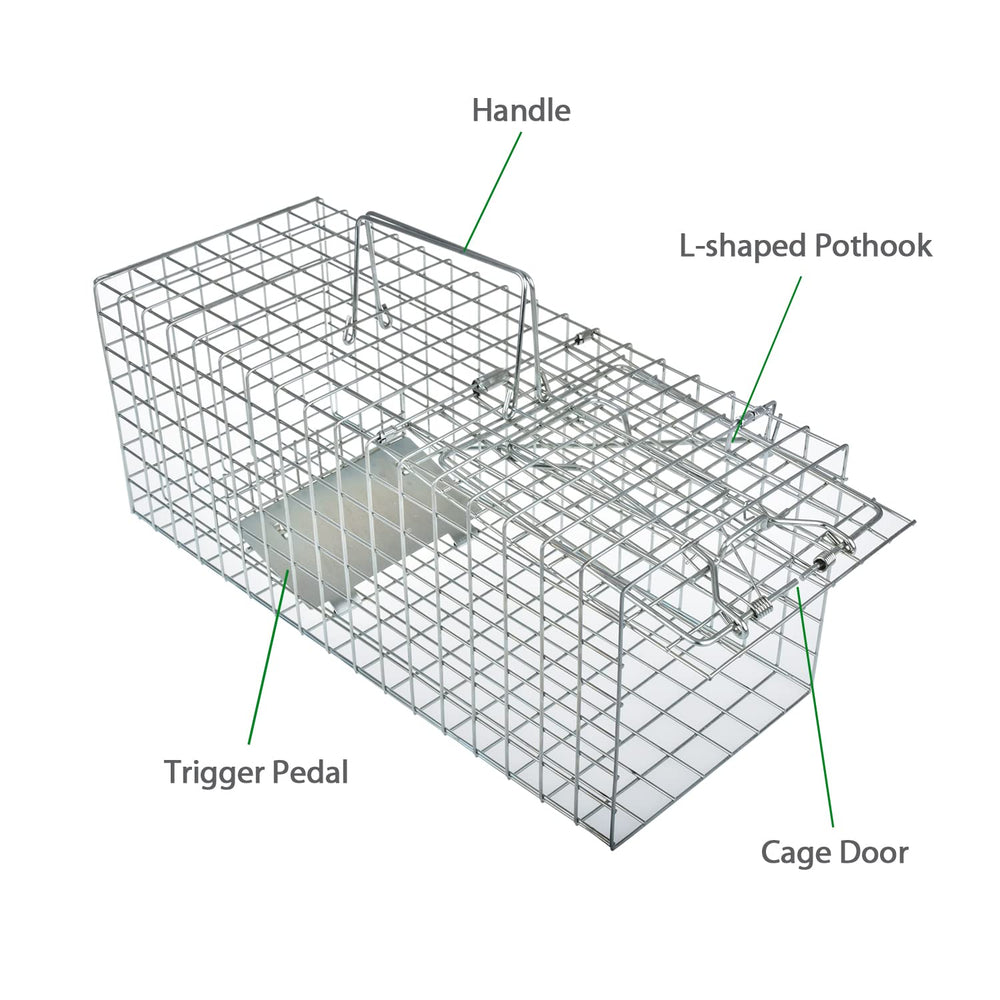Anyhall trap usage video guide helps users learn setup and humane release