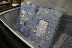 AO Coolers Glacier Pack being used to keep drinks cold in a cooler.