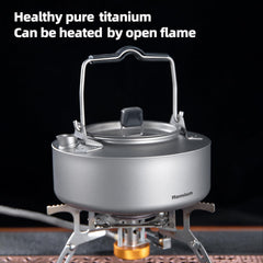 Open and protective storage bag included with Aomiun kettle.