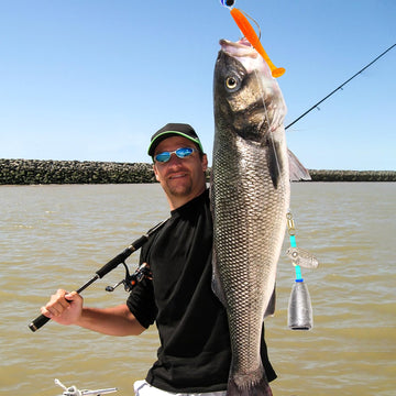 Versatile Texas rig kit suitable for saltwater and freshwater bass fishing