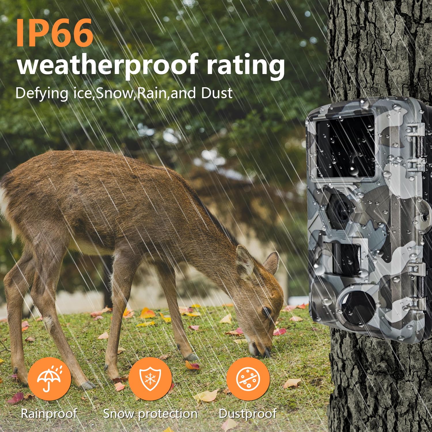 H.264 MP4 video recording from app-controlled trail camera
