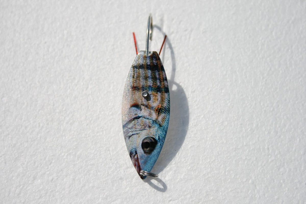 AQA Aqua Dream Living WSPF live bait spoon with multi-color finish, effective lure for shore anglers.