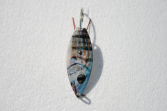 AQA Aqua Dream Living WSPF live bait spoon with multi-color finish, effective lure for shore anglers.