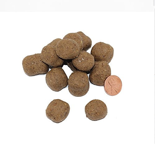Mojo Ultimate bait molded on hook demonstrates concealment and secure hold.