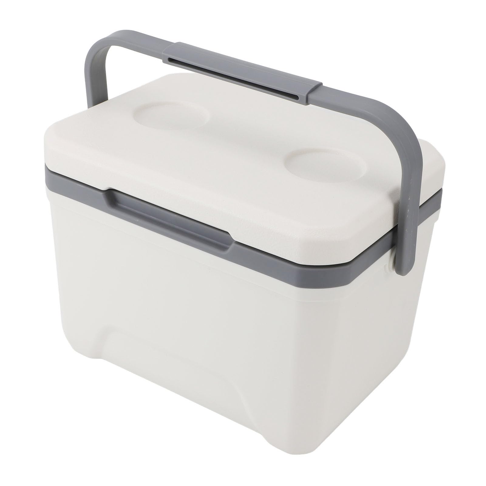 Aqur2020 large-capacity 6L cooler keeps drinks and snacks chilled for picnics.
