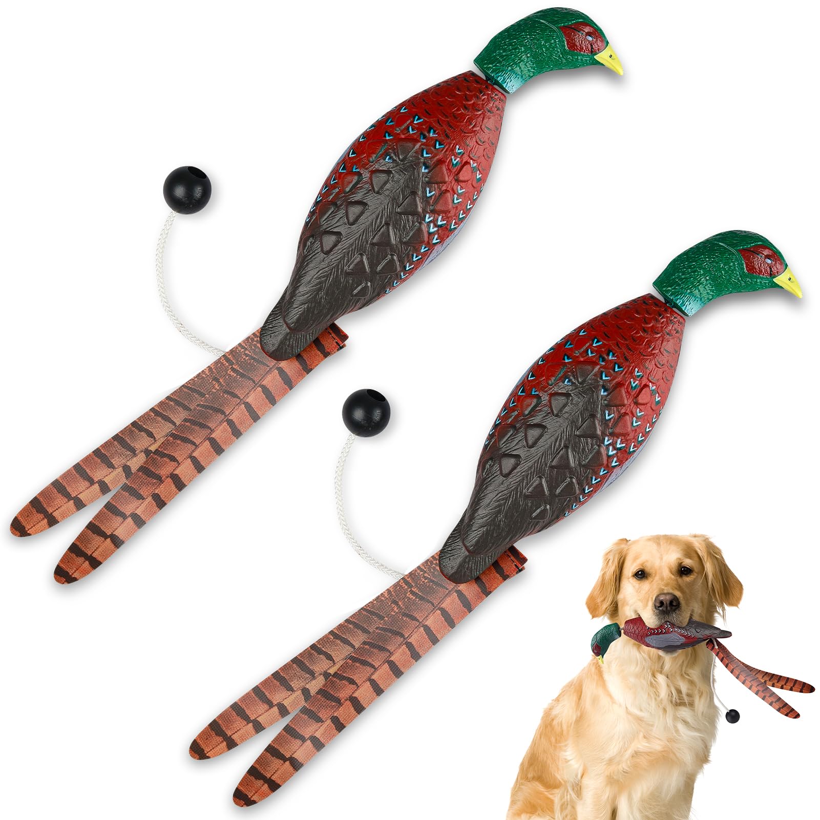 Archerest dead pheasant dummy front view for realistic training and improved grip