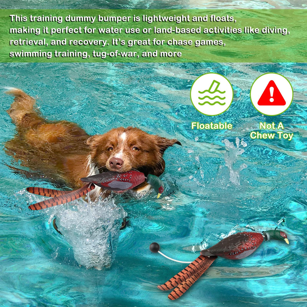 Archerest two-pack pheasant dummies for versatile land and water training sessions