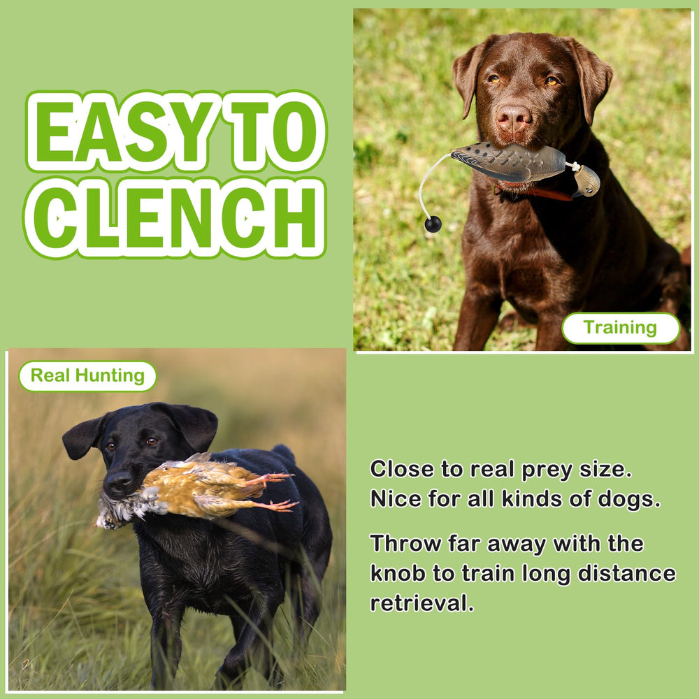 Archerest dove dummy throw rope enables long-distance throws.