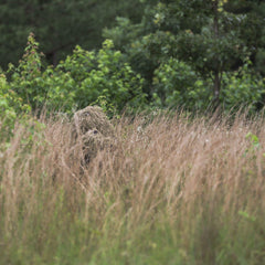 Arcturus Warrior ghillie boonie cap detail for stealth in brush