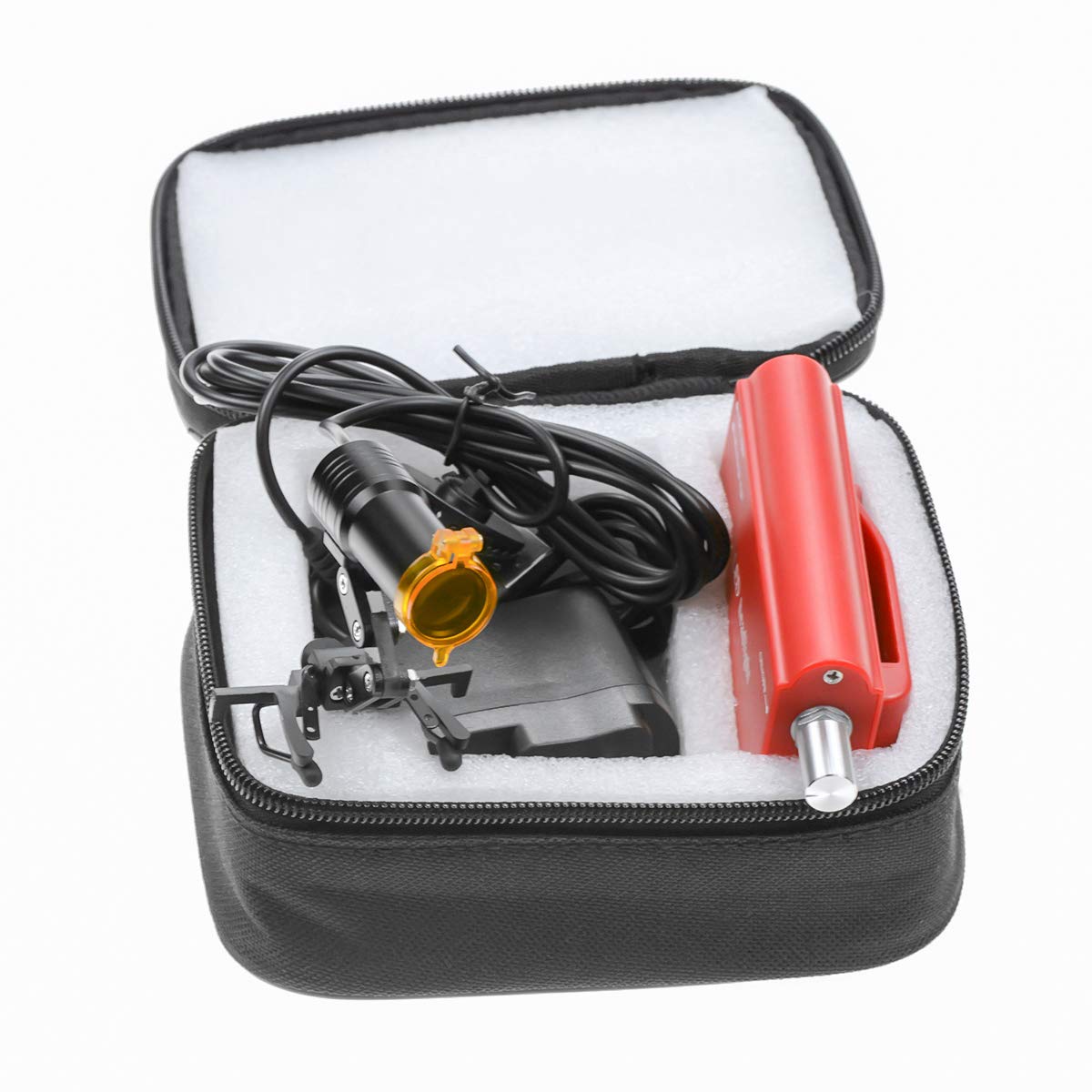 Brightness adjustable for different loupe inspection needs