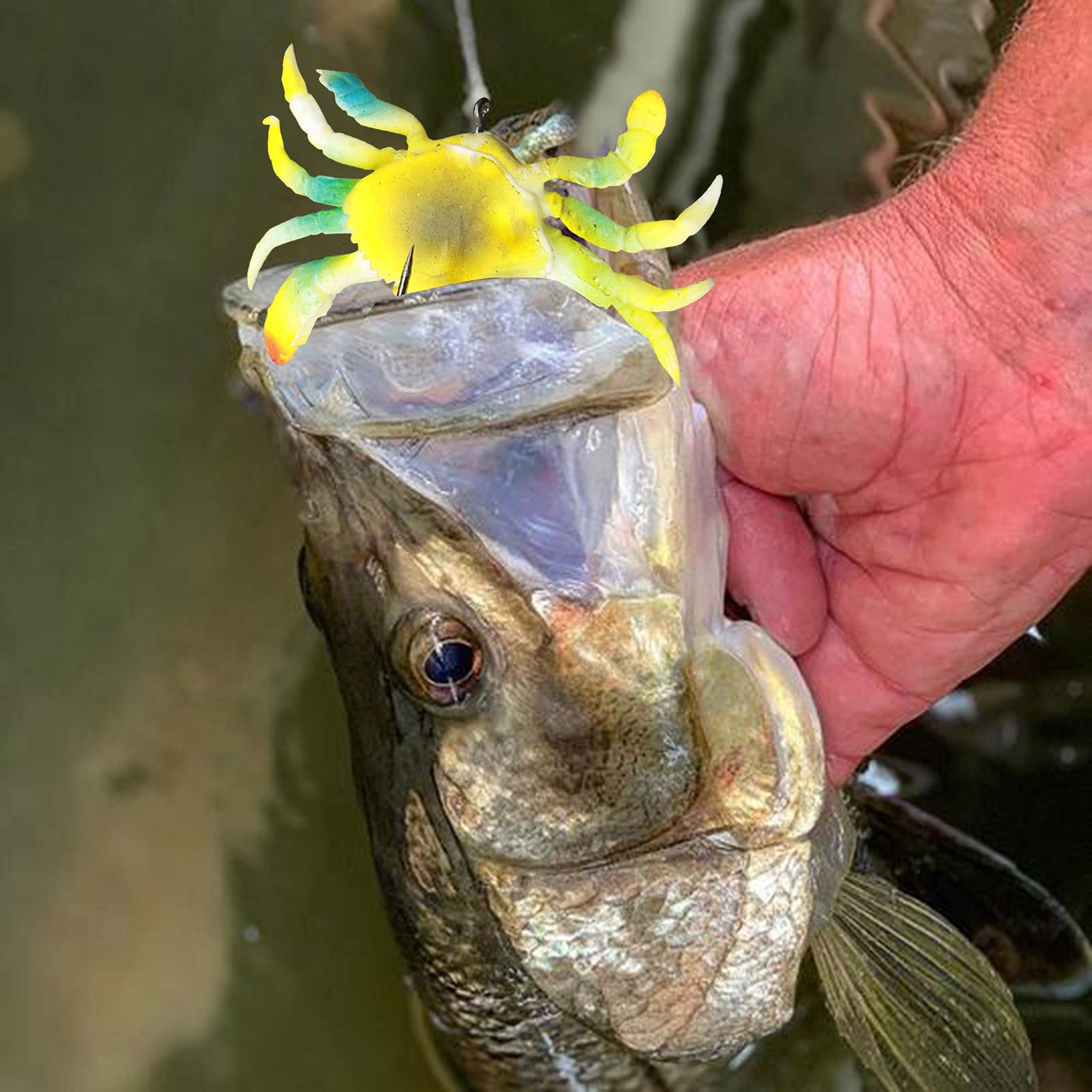 Arinda Smash Crab on water during retrieve suggesting enticing movement for big catches