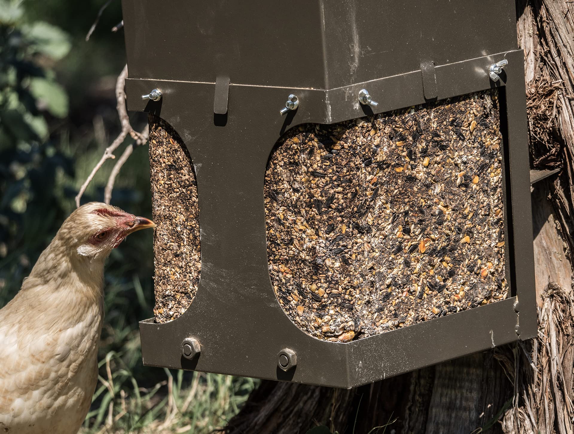 ASF All Seasons Feeders EZ Block outdoor-ready design for year-round feeding.