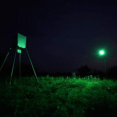 ASF Lil' Squealer hog light at night highlights hog movement without extra gear.