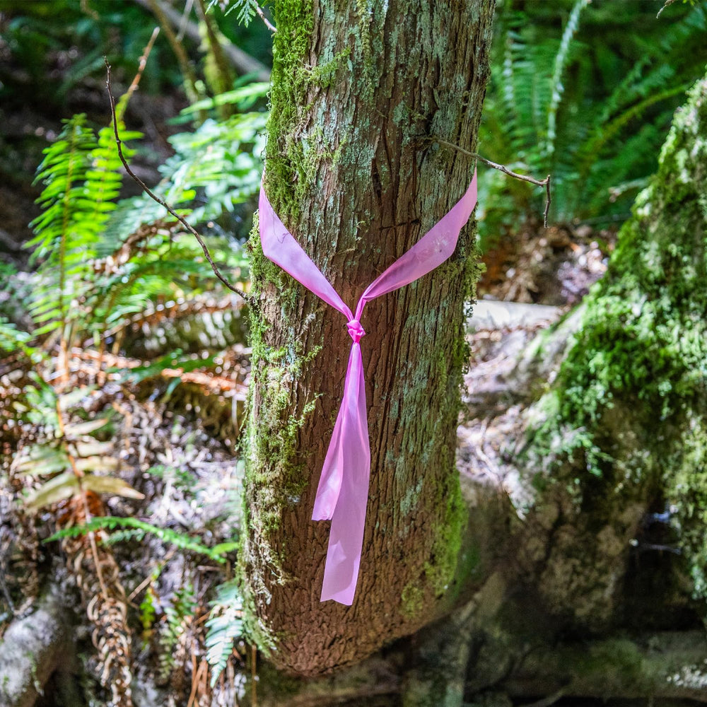 ASR Outdoor 0.06mm thickness keeps the ribbon light yet durable in gear kits.
