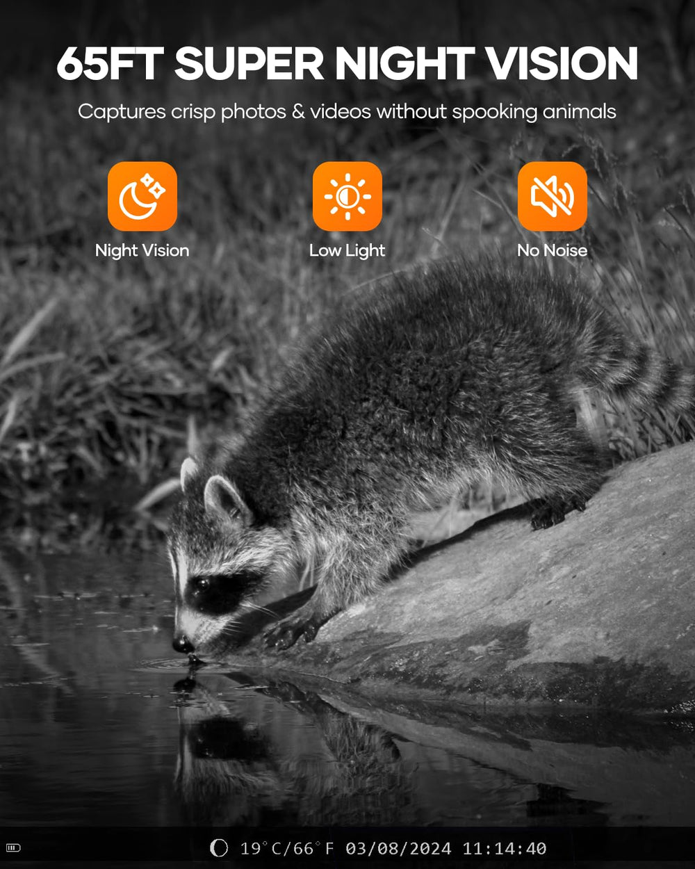 Assark trail camera 0.2s trigger captures fast-moving wildlife.